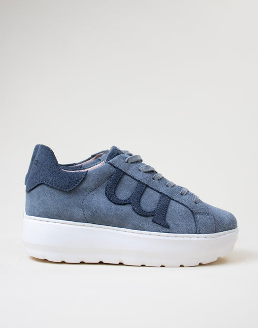 Básico Nube Azul