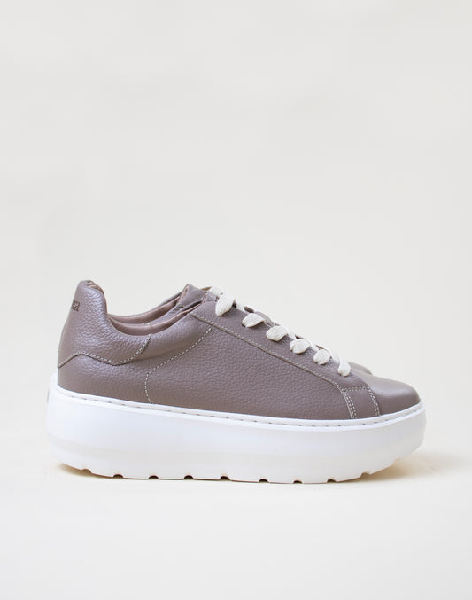 Básicos Nube Taupe